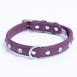 Athens Dog Collar ( Pink | Purple )