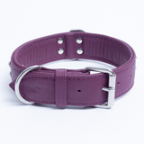 Athens Dog Collar ( Pink | Purple )