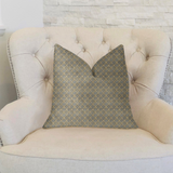 Golden Clove Blue and Beige Luxury Throw Pillow