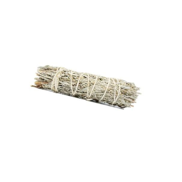 Dream Spirit Mountain sage Smudge Stick 8-9"