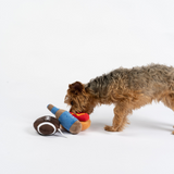 Boys Night Dog Toy