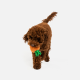 Carrot Dog Toy