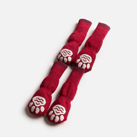 Compression Dog Socks - Red