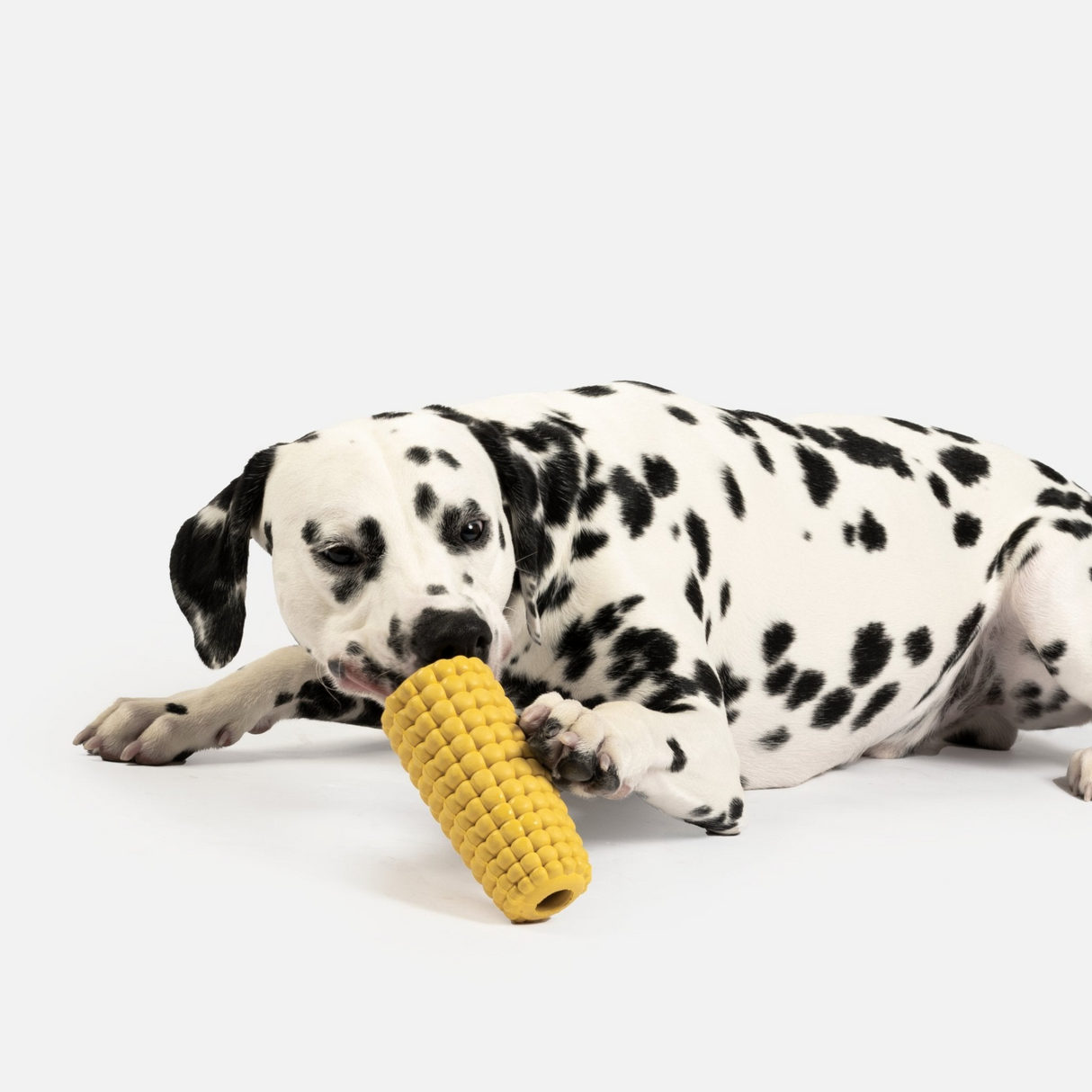 Corn Dog Toy