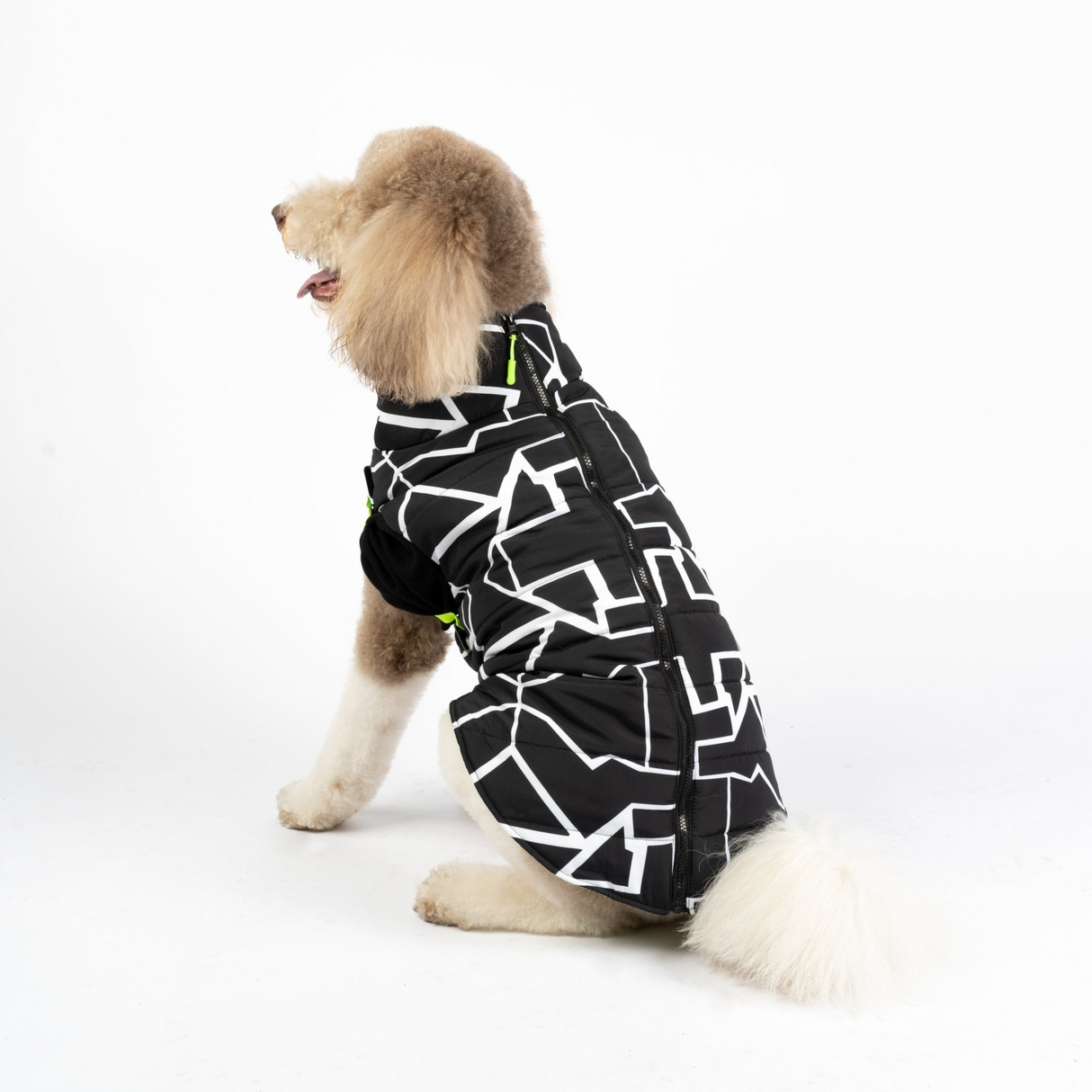 Fonda Dog Jacket