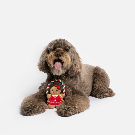 Ginger Bread Lady Dog Toy