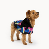 Ingo Dog Jacket