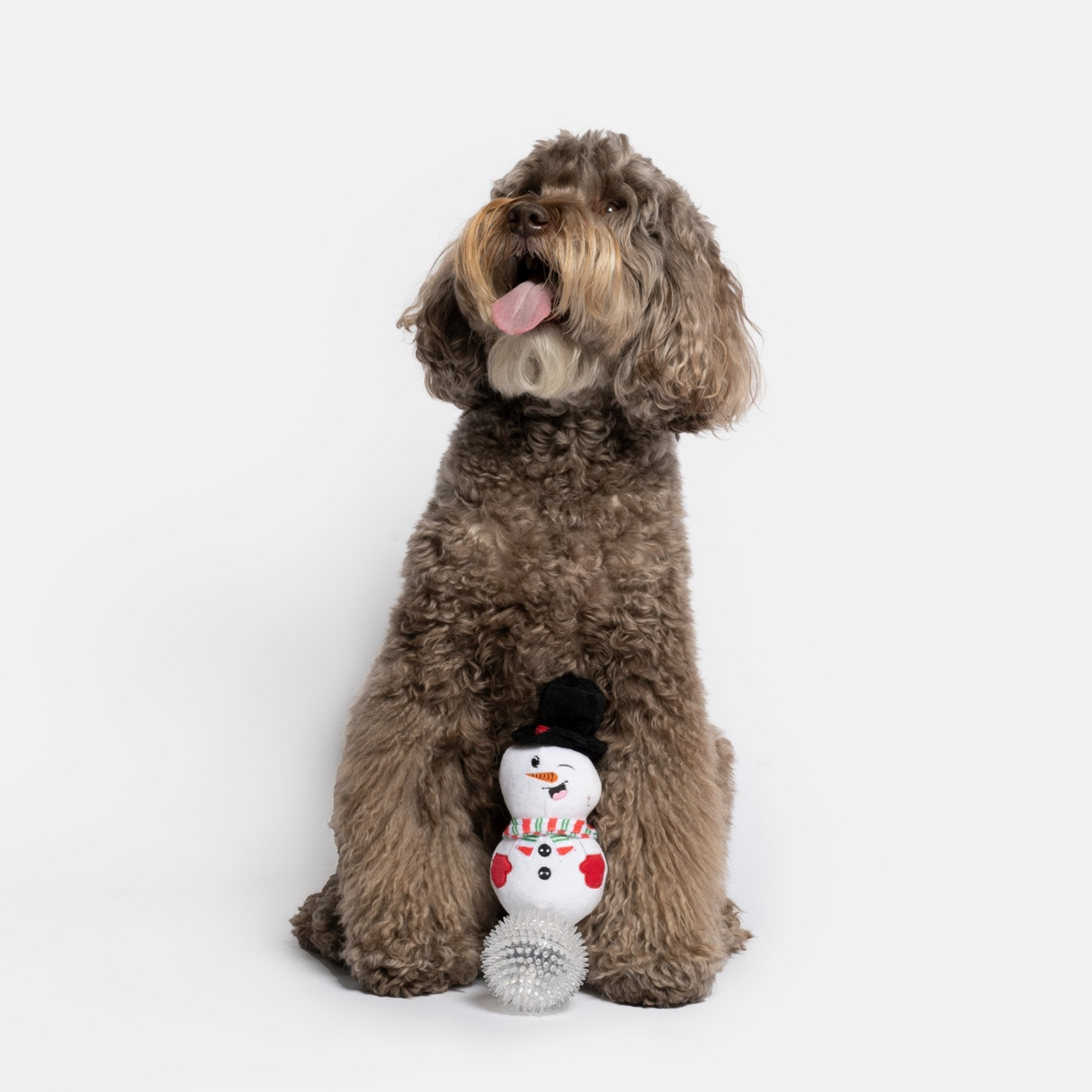 Long Plush Snowman with Spikey Rubber Ball Toy