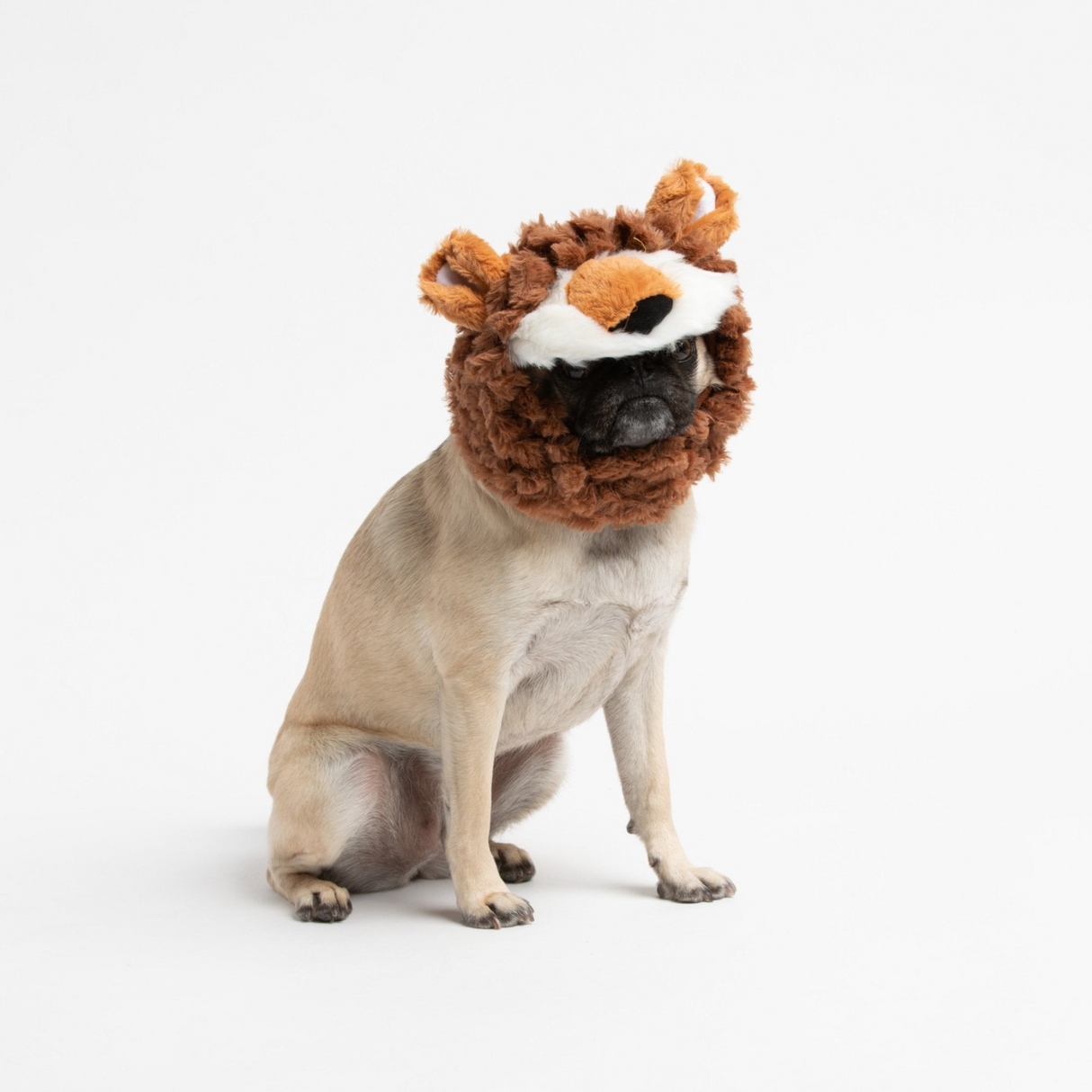 Lion Wig Costume