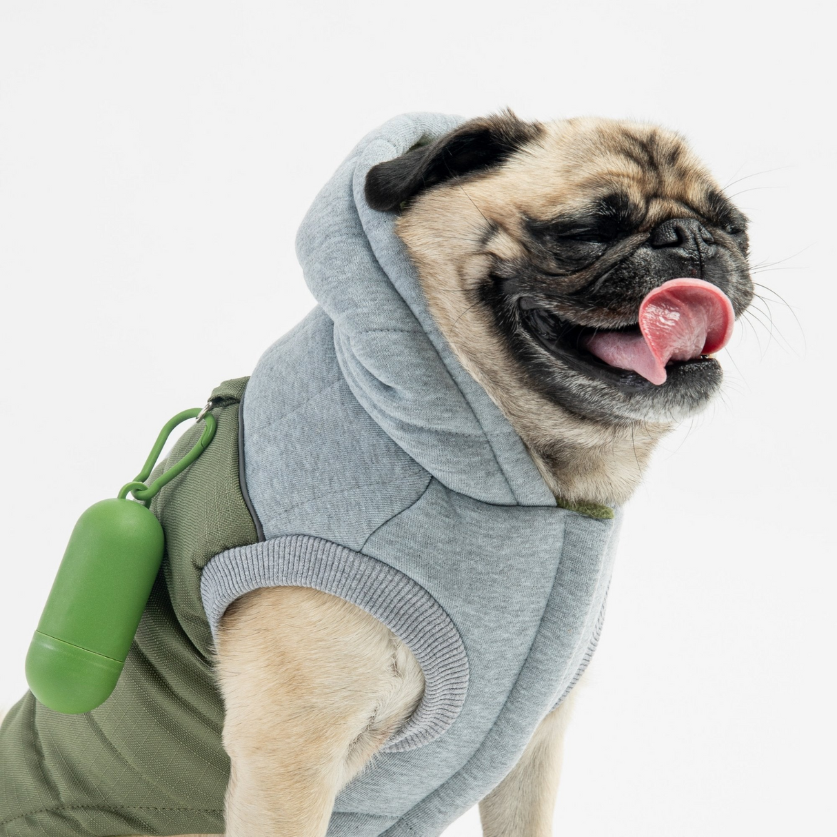 Lyanna Dog Jacket - Green