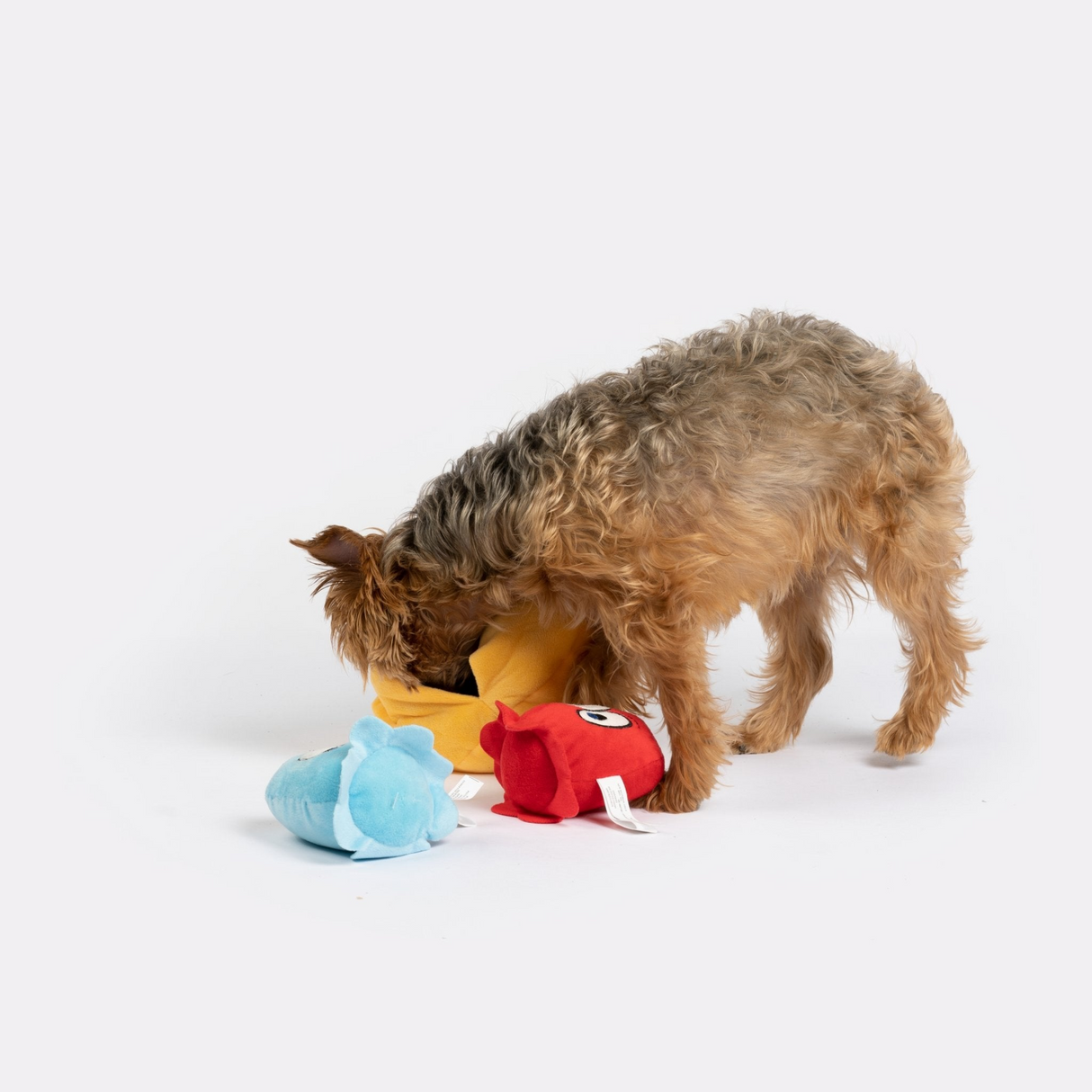 Snackman Dog Toy