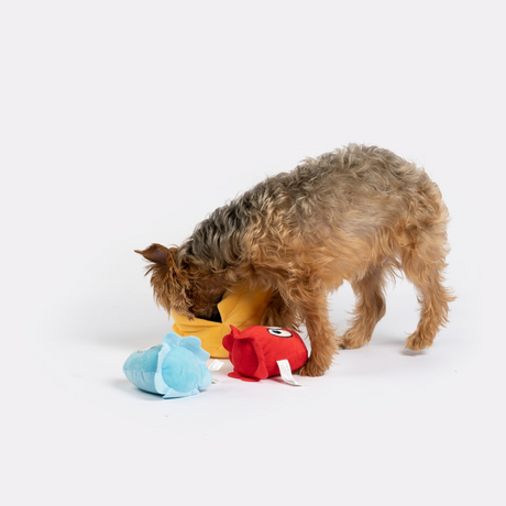 Snackman Dog Toy