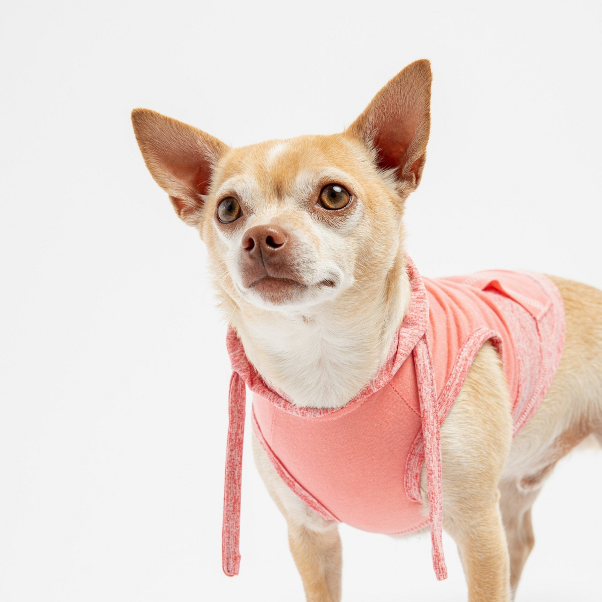 Urban Fit Dog Hoodie - Pink