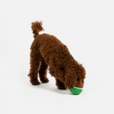 Watermelon Dog Toy