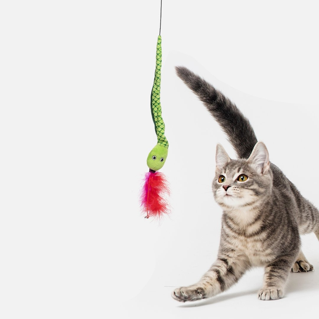 Snake Dangler Cat Toy