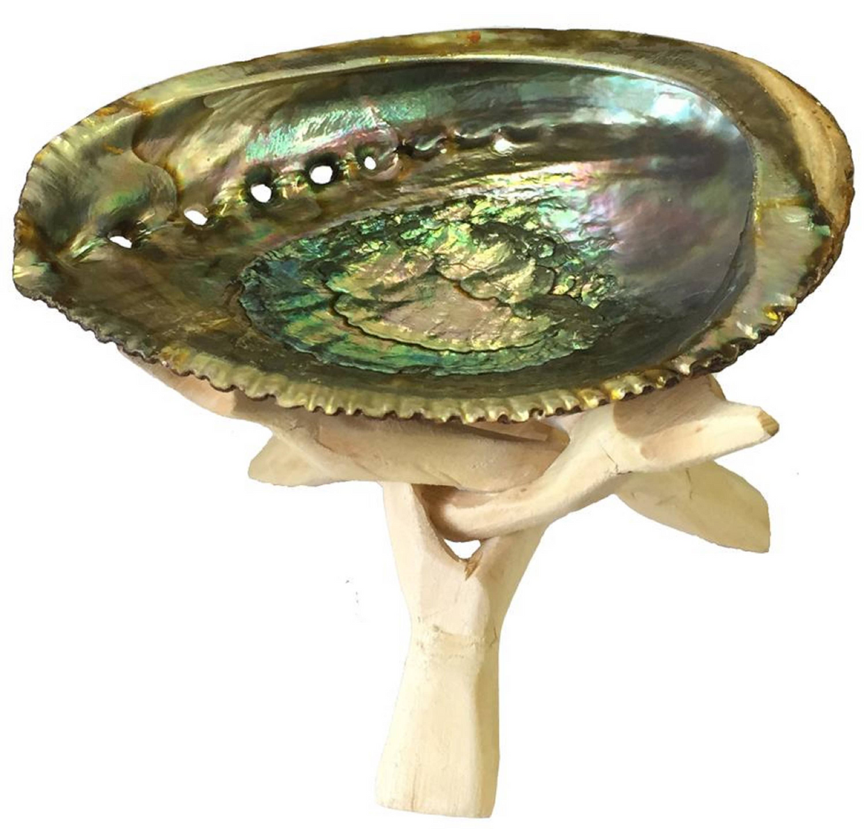 Abalone shell ash tray/ wooden Stand /  Sage