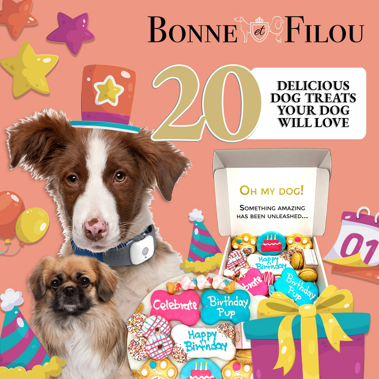 Happy Birthday Dog Treats Gift Box