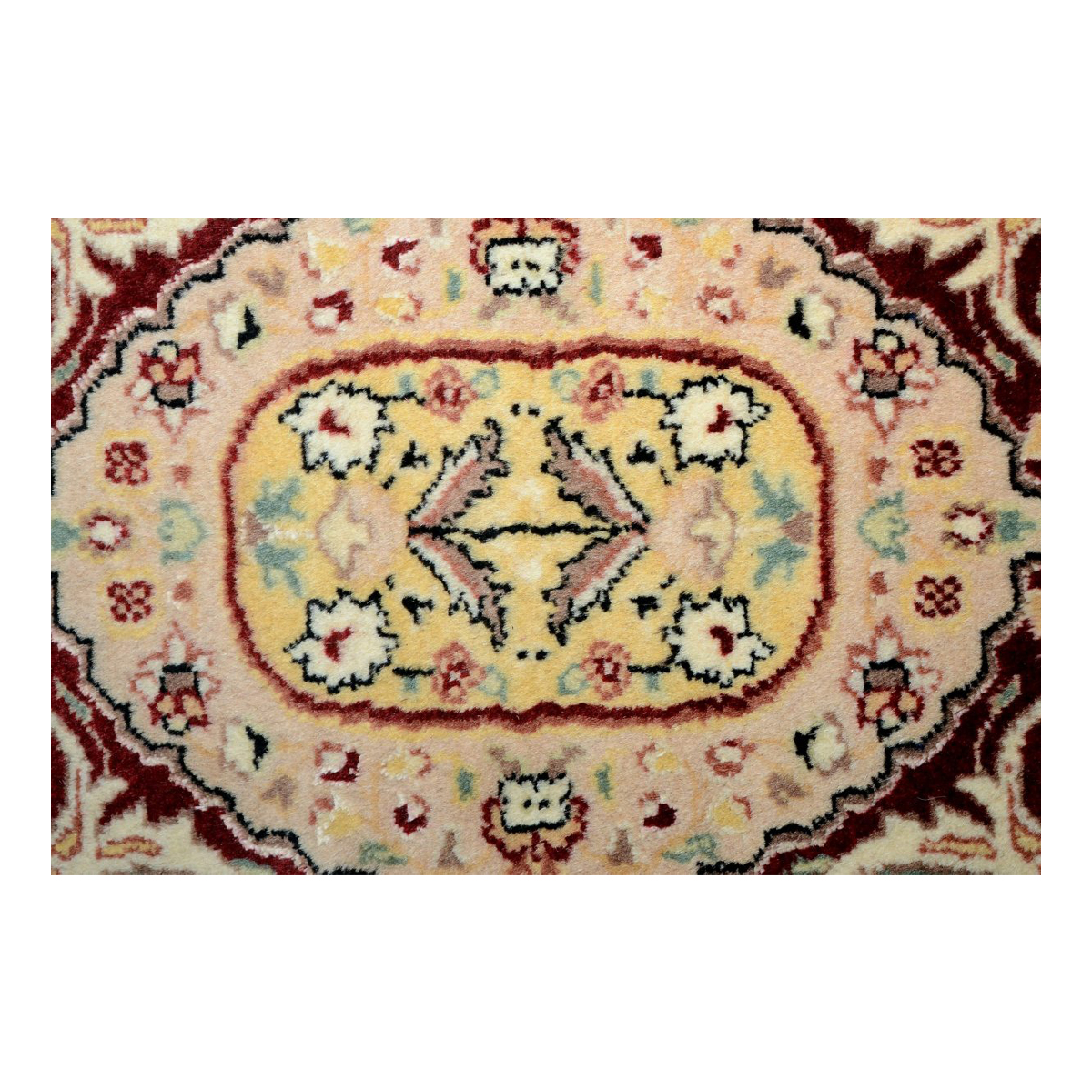 Compartment Hand knotted Cameo Tassel Rug