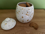 Cookie/Biscuit Jar Canister Confetti Glaze