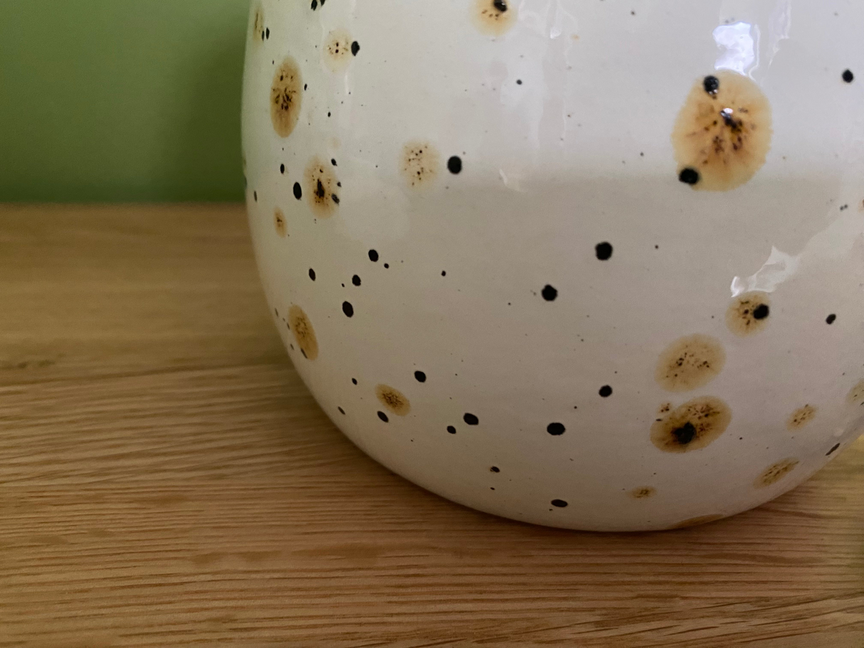 Cookie/Biscuit Jar Canister Confetti Glaze