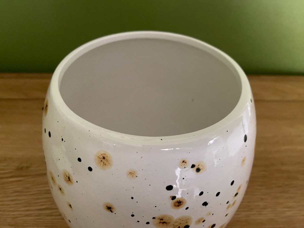 Cookie/Biscuit Jar Canister Confetti Glaze