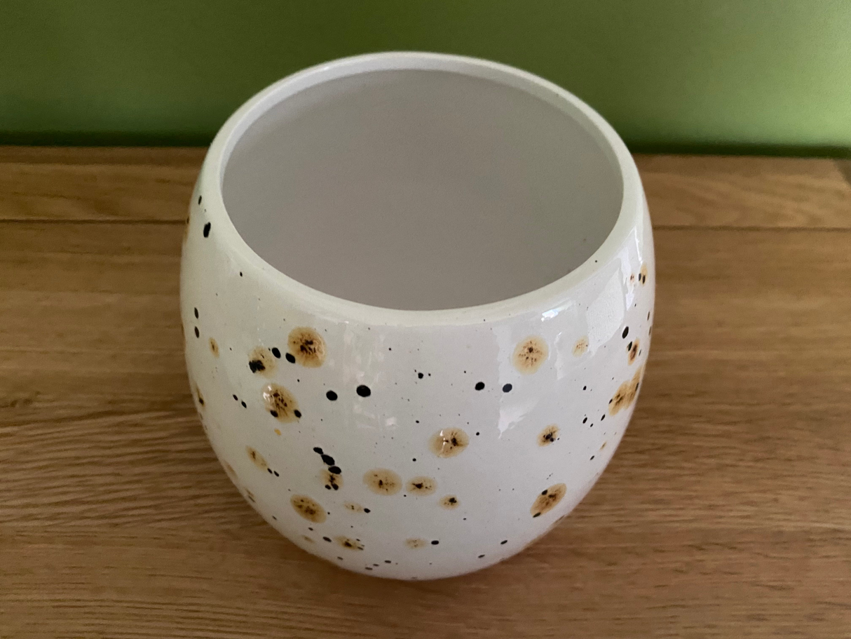 Cookie/Biscuit Jar Canister Confetti Glaze