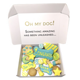 Congrats Themed Dog Treats Gift Box