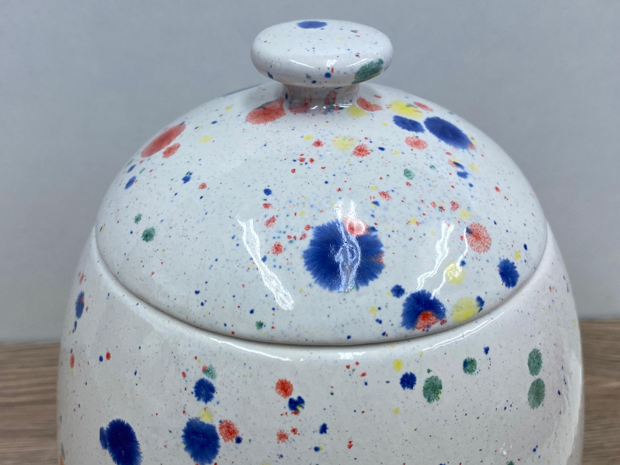 Cookie/Biscuit Jar Canister Celebration Glaze