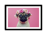 Pug Dog Framed Print