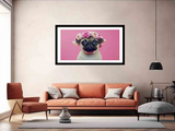 Pug Dog Framed Print