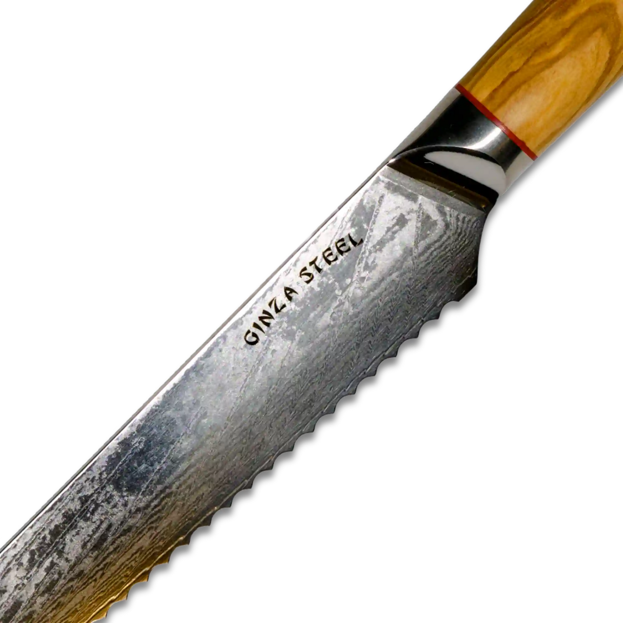 MIA Z | BREAD KNIFE 8" Damascus AUS10 Steel 67 Layer / Olive Wood handle