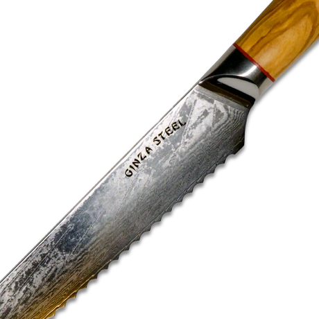 MIA Z | BREAD KNIFE 8" Damascus AUS10 Steel 67 Layer / Olive Wood handle