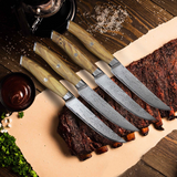 KC Series | AMELIA Essential VG10 Damascus Steel Steak Knife set of four