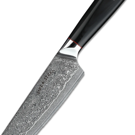 HAGAKURE 21 | Chef Knife Knife 8" - 67 Layer AUS 10 Steel