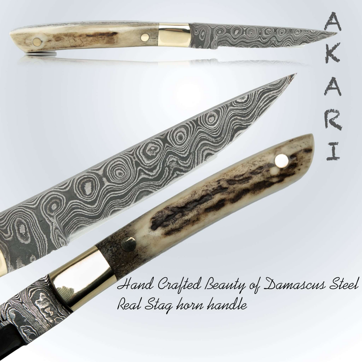 AKARI Skinner Knife 3.5 inch with Stag Horn Handle and Original Leather Sheath