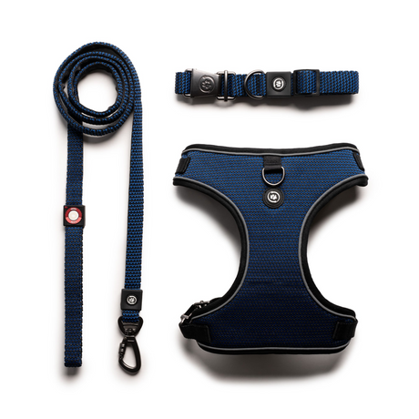 3 In 1 Collar, Leash, Harness Set