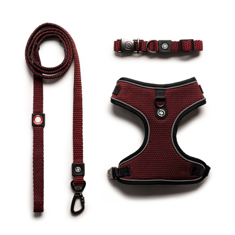 3 In 1 Collar, Leash, Harness Set