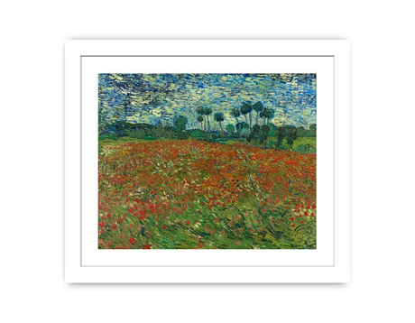 Poppy Field By Vincent Van Gogh Framed Print