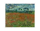 Poppy Field By Vincent Van Gogh Framed Print