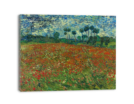 Poppy Field By Vincent Van Gogh Canvas Print