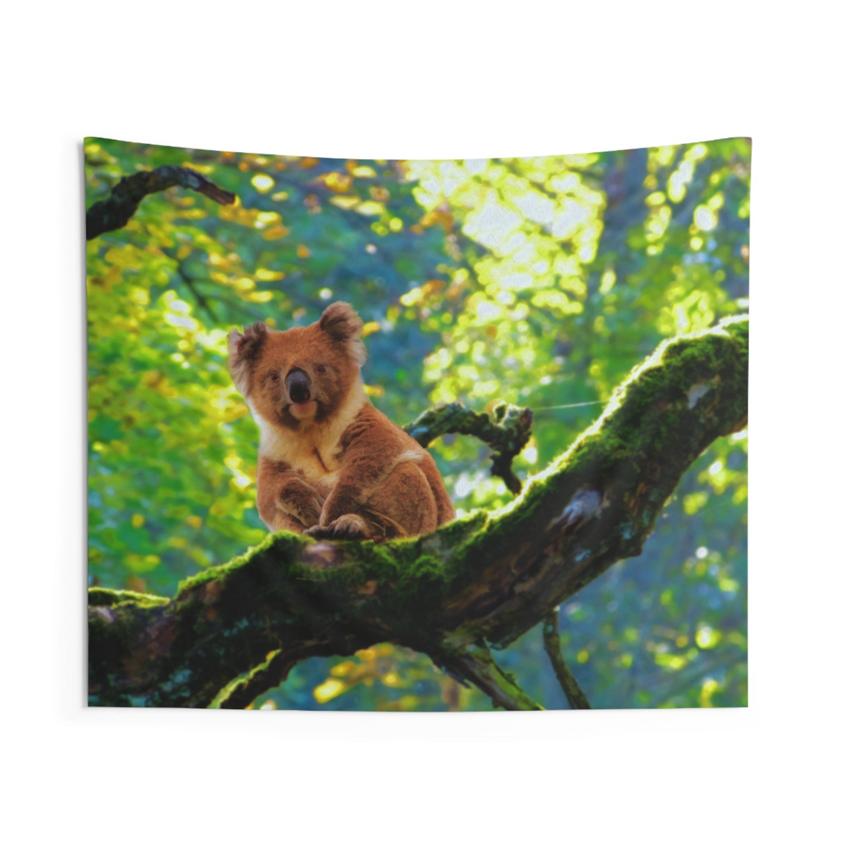 Koala On Tree Tapestry