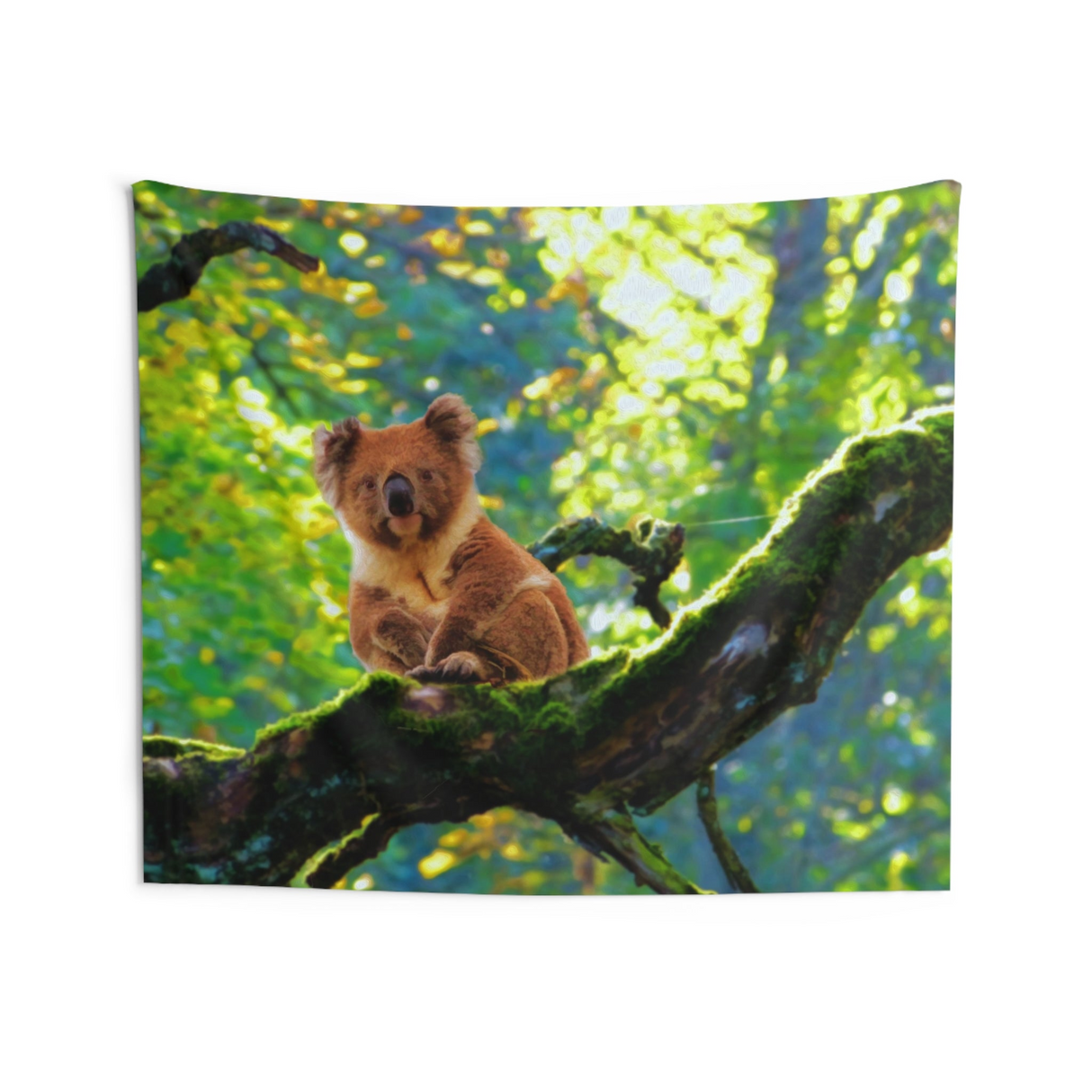 Koala On Tree Tapestry