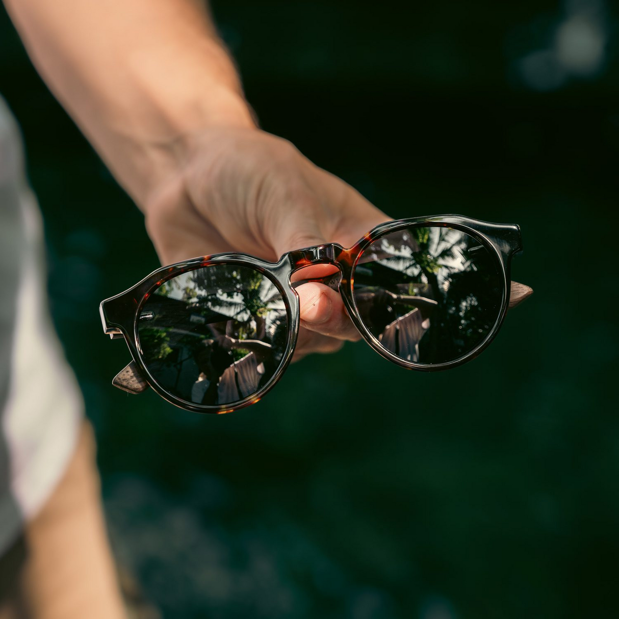 Walnut wood panto sunglasses with tortoise frame and black polarized lenses