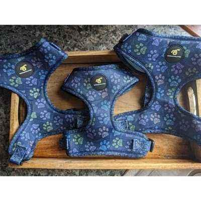 Finnigan Paws Up Designer Dog Harness