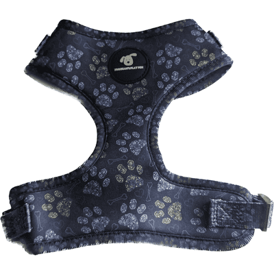 Finnigan Paws Up Designer Dog Harness