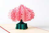 Cherry Blossom 3D Pop up Greeting Card