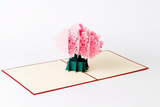 Cherry Blossom 3D Pop up Greeting Card