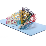 Mutil-color peacock Pop Up Greeting Card