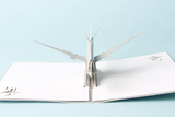 The Airplane 3D Pop up Greeting Card