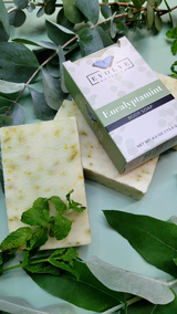 Standard Soap - Eucalyptamint